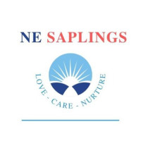 The Best Nursery School Near You: Top Picks and What to Look For