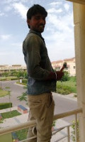 Pigeon Balaji Net Service