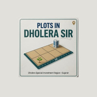Plots in Dholera sir