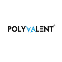 Polyvalent Digital Services Pvt. Ltd.