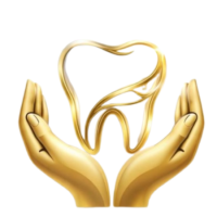Prime Dental Care –Dentist in Prayagraj