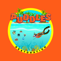 Puddles Restoration