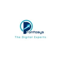 Prontosys IT Services- Best Online Marketing Company in UAE