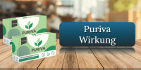 Puriva