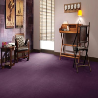 Wall to Wall Carpet Dubai | Luxury Flooring for Homes & Offices