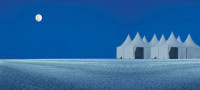 Kutch Tour Package from Ahmedabad