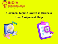 Common Topics Covered in Business Law Assignment Help