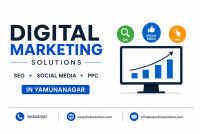 Result-Driven Digital Marketing Company in Yamunanagar
