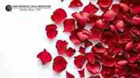 Rose Petals Manufacturer and Supplier in India