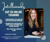 SAP SD Online Training