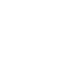 SDM Public School