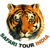 Rajasthan Safari Booking | Rajasthan Wildlife Safari Tour Package – Safari Tour India