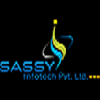 Sassy Infotech Pvt Ltd - Website design & development Company | Digital Marketing Agency