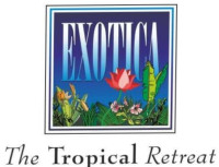 Wedding Packages & Pricing - Exotica The Tropical Retreat