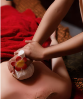 Jeevayanam: A Leading Ayurvedic Wellness Centre for Holistic Healing