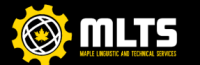 MLTS CANADA | IT Services | MSP | Website Development and Designing| IT services in Saskatoon