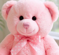 Gift for Girlfriend in Karachi