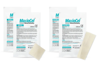 Advanced Chitosan Dressing for Diabetic Foot Ulcer Healing | MaxioCel