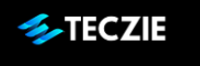 Professional SEO Company in Gurgaon | Teczie Technologies