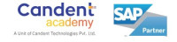 Best SAP Training Institute In Pune