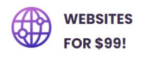 affordable custom websites
