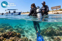 Divine Scuba – Scuba Diving & Parasailing in Gujara