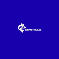 Sentrinus is a cybersecurity and risk management partner