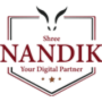 Search Engine Optimization Services - Shree Nandik Technologies