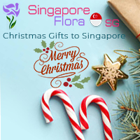 Send Flowers to Singapore at a very Low Price and Get Express Shipping