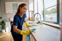 Paps Exterior Cleaning, LLC in Lakewood Ranch, FL