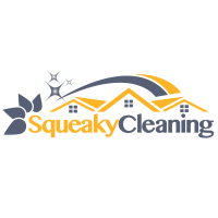 Cleaning Services in Thornhill