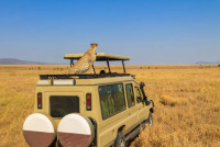 The East African Safari and Touring