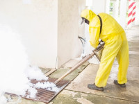 Expert Termite Management Services in Navi Mumbai