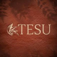 Tesu