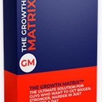 Who Created The Growth Matrix PDF Program?