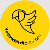 Best Time to Visit Tibet - Yellow Bird Tours