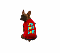 Top 10 Stylish and Comfortable Dog Clothes to Buy Online in India!!