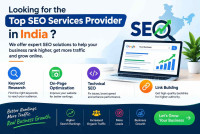 Top SEO Services Provider in India