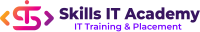 Skills IT Academy: IT Courses in Pune