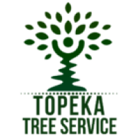 Expert Tree Service in Topeka