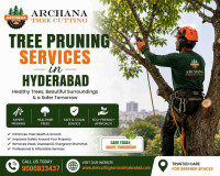 Tree Pruning Services in Hyderabad