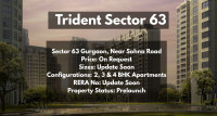 Premium Living at Trident Sector 63 Gurgaon with 2, 3 & 4 BHK Apartments
