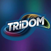 Indoor Theme Park & Play Zone in Bangalore & Hyderabad | Tridom