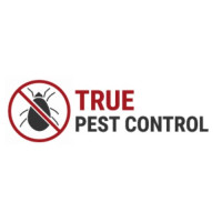 True Pest Control - Fast and Professional Pest Control Services
