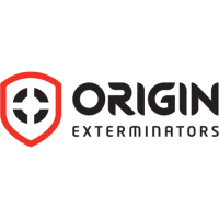 Best Pest Control Services in Singapore: Reliable Solutions for a Pest-Free Home