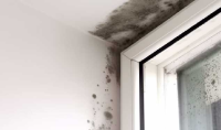 Expert Waterproofing for Wet Walls