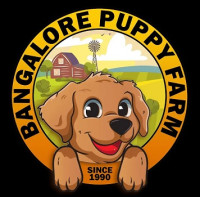Bangalore Puppy Farm