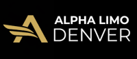 dia airport car service