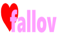 Fallov Internet (OPC) Private Limited