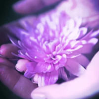 Heaven Touch Wellness Center